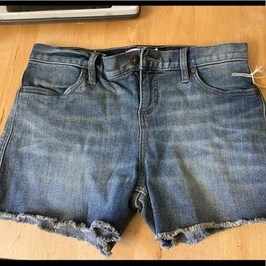 Carve Design Maui Jean Shorts